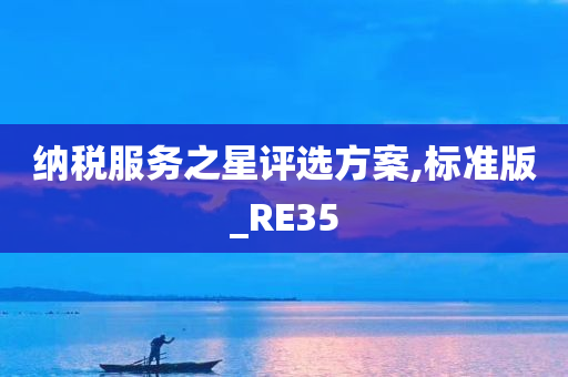 纳税服务之星评选方案,标准版_RE35