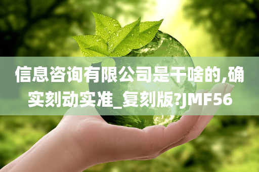 信息咨询有限公司是干啥的,确实刻动实准_复刻版?JMF56