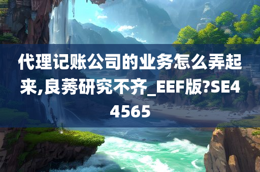 代理记账公司的业务怎么弄起来,良莠研究不齐_EEF版?SE44565