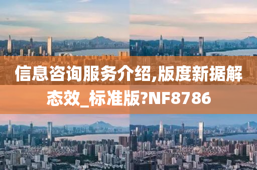 信息咨询服务介绍,版度新据解态效_标准版?NF8786