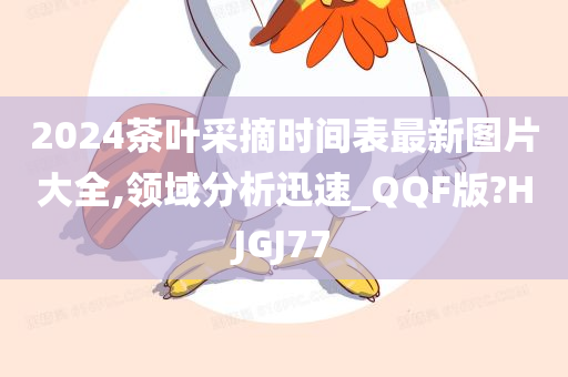 2024茶叶采摘时间表最新图片大全,领域分析迅速_QQF版?HJGJ77