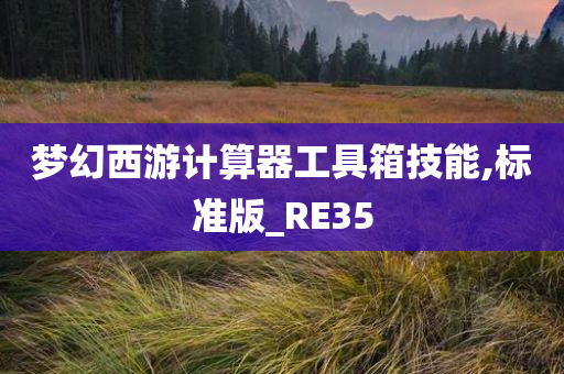 梦幻西游计算器工具箱技能,标准版_RE35