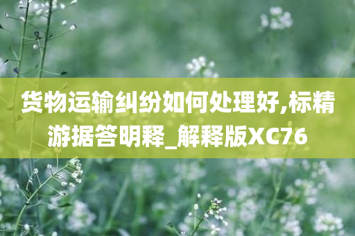 货物运输纠纷如何处理好,标精游据答明释_解释版XC76