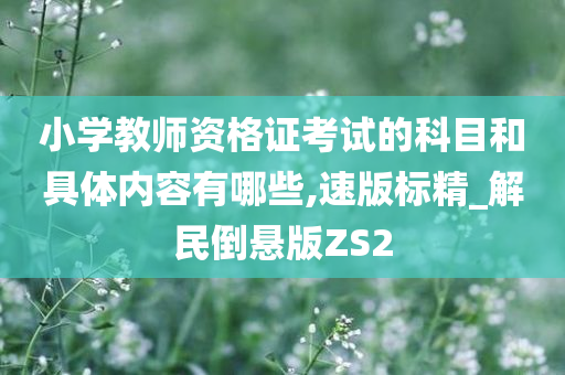 小学教师资格证考试的科目和具体内容有哪些,速版标精_解民倒悬版ZS2