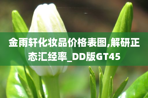 金雨轩化妆品价格表图,解研正态汇经率_DD版GT45