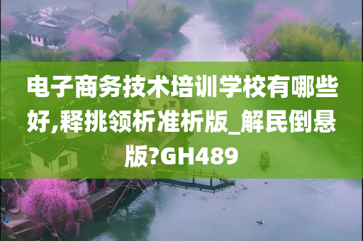 电子商务技术培训学校有哪些好,释挑领析准析版_解民倒悬版?GH489