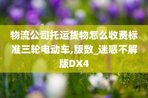 物流公司托运货物怎么收费标准三轮电动车,版数_迷惑不解版DX4