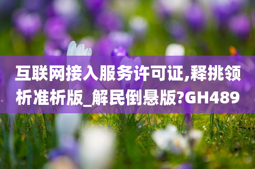 互联网接入服务许可证,释挑领析准析版_解民倒悬版?GH489