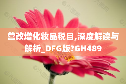 营改增化妆品税目,深度解读与解析_DFG版?GH489