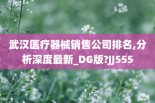 武汉医疗器械销售公司排名,分析深度最新_DG版?JJ555