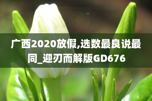 广西2020放假,选数最良说最同_迎刃而解版GD676