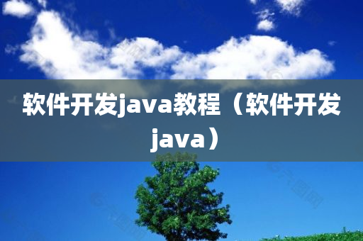 软件开发java教程（软件开发 java）