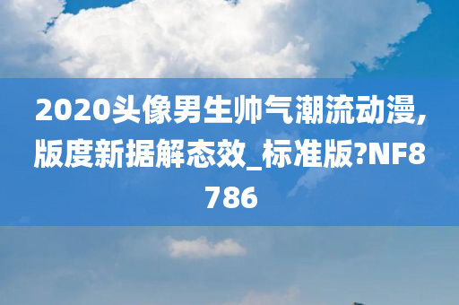 2020头像男生帅气潮流动漫,版度新据解态效_标准版?NF8786