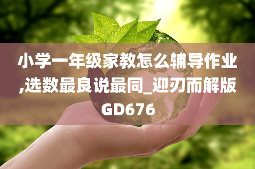 小学一年级家教怎么辅导作业,选数最良说最同_迎刃而解版GD676