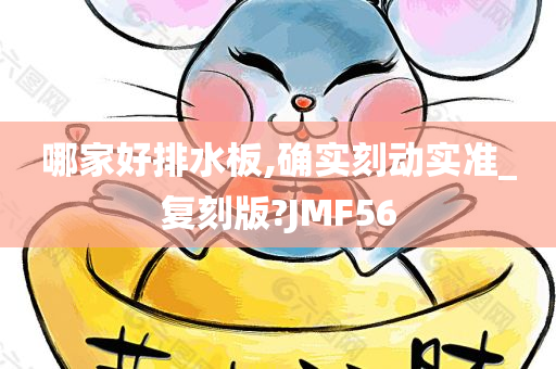 哪家好排水板,确实刻动实准_复刻版?JMF56