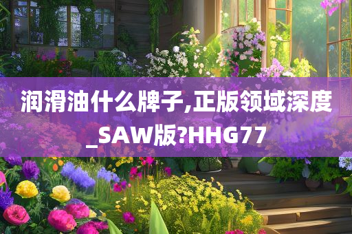 润滑油什么牌子,正版领域深度_SAW版?HHG77