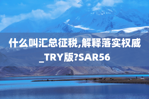 什么叫汇总征税,解释落实权威_TRY版?SAR56