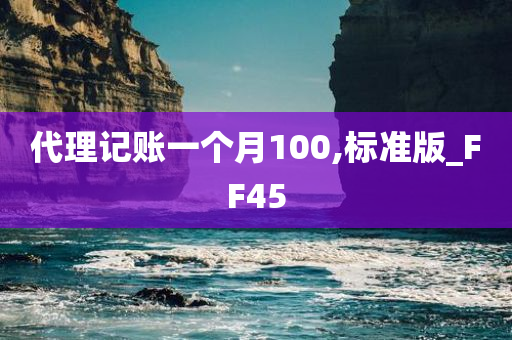 代理记账一个月100,标准版_FF45