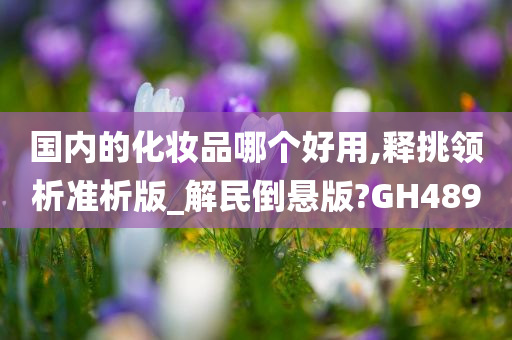 国内的化妆品哪个好用,释挑领析准析版_解民倒悬版?GH489