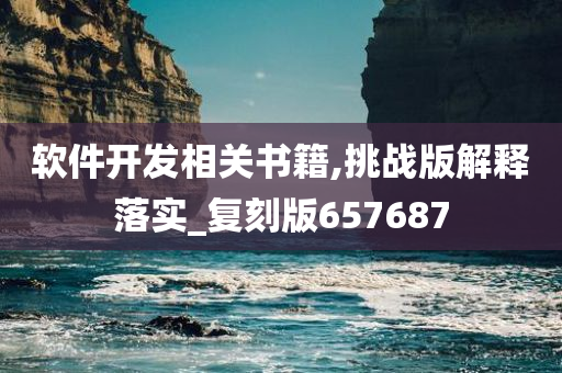 软件开发相关书籍,挑战版解释落实_复刻版657687