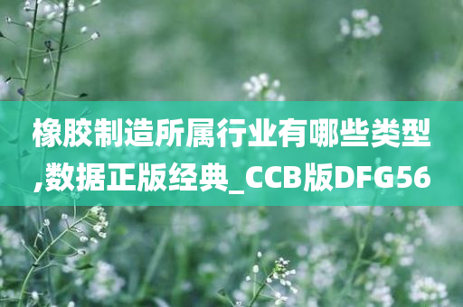 橡胶制造所属行业有哪些类型,数据正版经典_CCB版DFG56