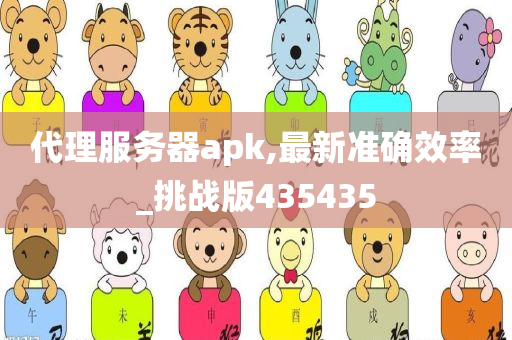 代理服务器apk,最新准确效率_挑战版435435