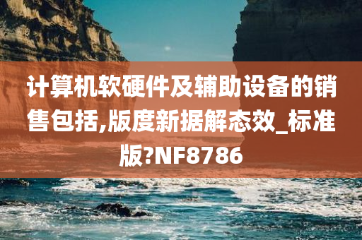 计算机软硬件及辅助设备的销售包括,版度新据解态效_标准版?NF8786