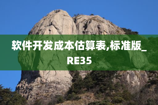 软件开发成本估算表,标准版_RE35