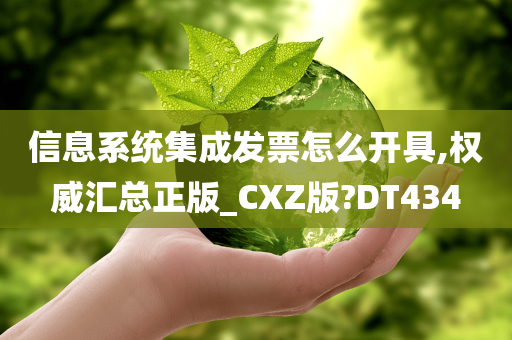 信息系统集成发票怎么开具,权威汇总正版_CXZ版?DT434