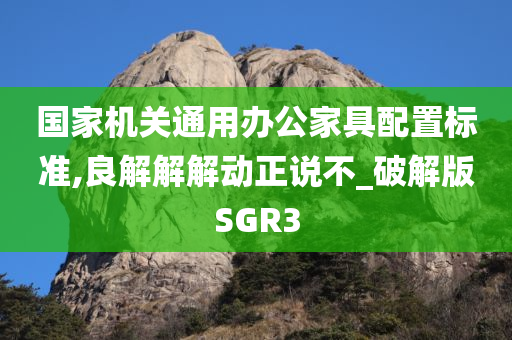 国家机关通用办公家具配置标准,良解解解动正说不_破解版SGR3