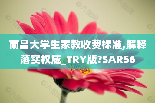 南昌大学生家教收费标准,解释落实权威_TRY版?SAR56