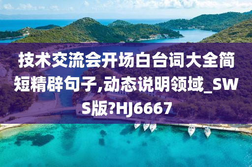 技术交流会开场白台词大全简短精辟句子,动态说明领域_SWS版?HJ6667