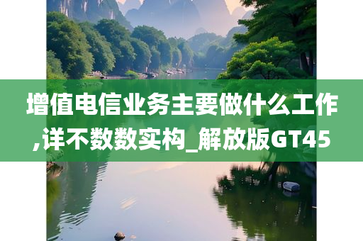 增值电信业务主要做什么工作,详不数数实构_解放版GT45