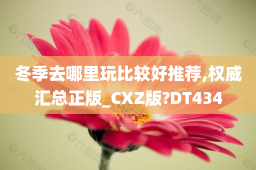 冬季去哪里玩比较好推荐,权威汇总正版_CXZ版?DT434