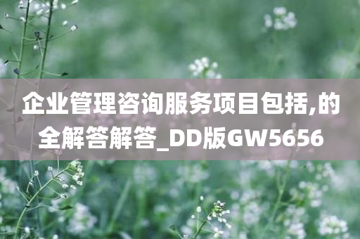 企业管理咨询服务项目包括,的全解答解答_DD版GW5656