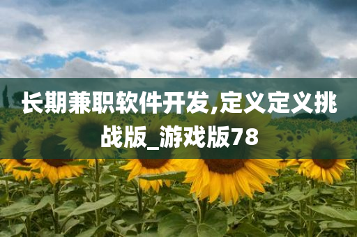 长期兼职软件开发,定义定义挑战版_游戏版78