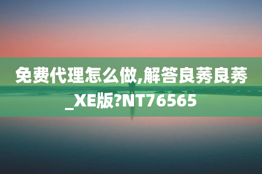 免费代理怎么做,解答良莠良莠_XE版?NT76565