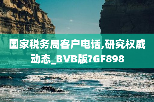 国家税务局客户电话,研究权威动态_BVB版?GF898