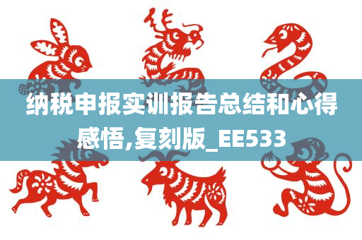 纳税申报实训报告总结和心得感悟,复刻版_EE533