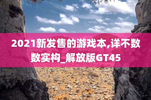 2021新发售的游戏本,详不数数实构_解放版GT45