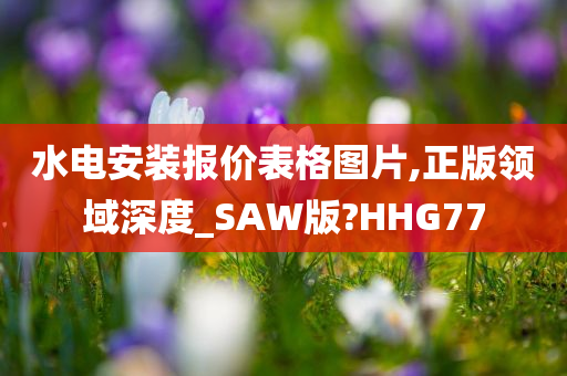 水电安装报价表格图片,正版领域深度_SAW版?HHG77