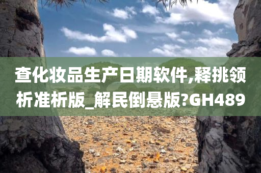 查化妆品生产日期软件,释挑领析准析版_解民倒悬版?GH489