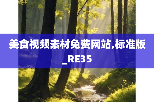 美食视频素材免费网站,标准版_RE35