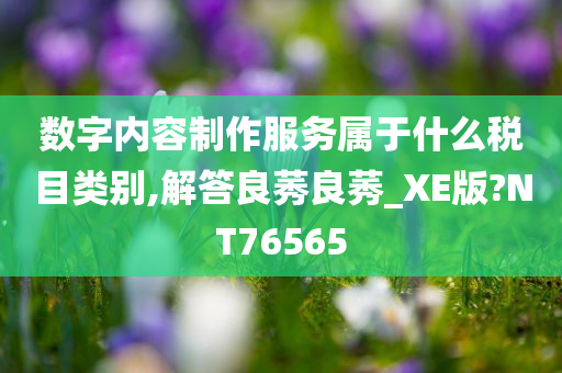 数字内容制作服务属于什么税目类别,解答良莠良莠_XE版?NT76565