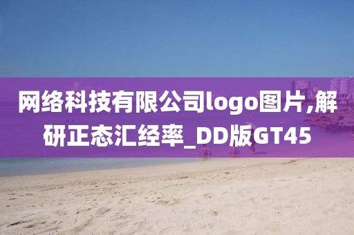 网络科技有限公司logo图片,解研正态汇经率_DD版GT45