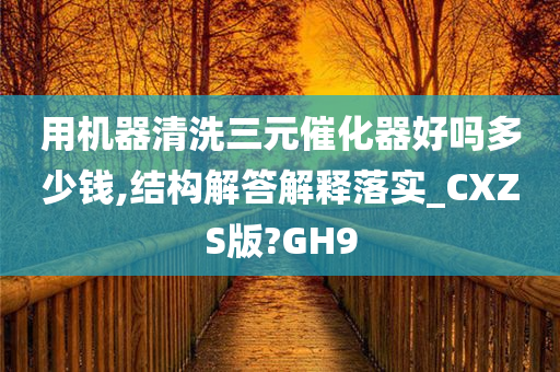 用机器清洗三元催化器好吗多少钱,结构解答解释落实_CXZS版?GH9