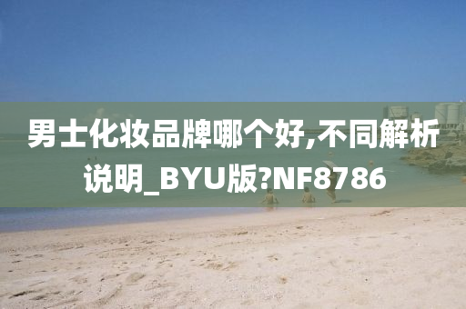 男士化妆品牌哪个好,不同解析说明_BYU版?NF8786