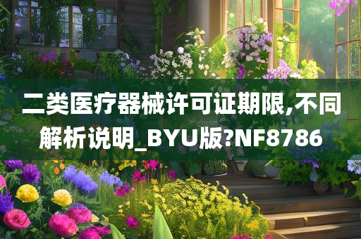 二类医疗器械许可证期限,不同解析说明_BYU版?NF8786