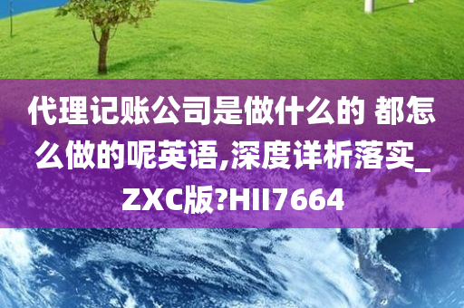 代理记账公司是做什么的 都怎么做的呢英语,深度详析落实_ZXC版?HII7664