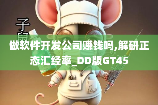 做软件开发公司赚钱吗,解研正态汇经率_DD版GT45